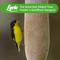 Show in main carousel: Lyric Nyjer Seed Wild Bird Food, 10-lb bag slide 8 of 9