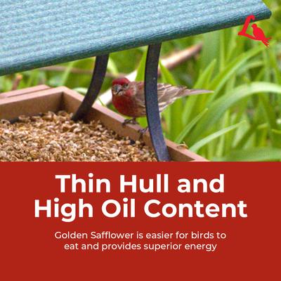 Show full view: Lyric Golden Safflower Seed Wild Bird Food, 12-lb bag slide 8 of 10