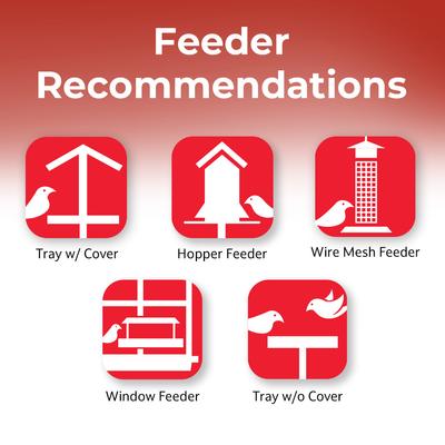 Show full view: Lyric Golden Safflower Seed Wild Bird Food, 12-lb bag slide 6 of 10