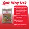 Show in main carousel: Lyric Golden Safflower Seed Wild Bird Food, 12-lb bag slide 3 of 10