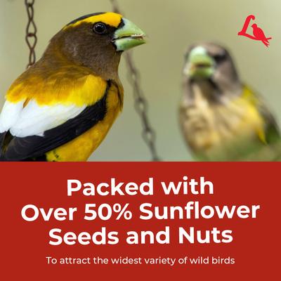 Show full view: Lyric Supreme Wild Bird Food, 4.5-lb bag slide 8 of 11