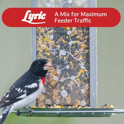 Show full view: Lyric Supreme Wild Bird Food, 4.5-lb bag slide 9 of 11