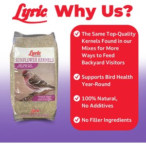 Lyric Sunflower Kernels Wild Bird Food, 5-lb bag