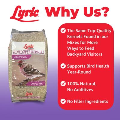 Show full view: Lyric Sunflower Kernels Wild Bird Food, 25-lb bag slide 3 of 10