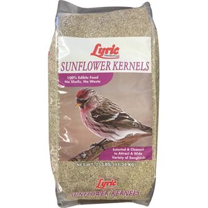 Lyric Sunflower Kernels Wild Bird Food, 25-lb bag
