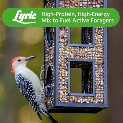 Show full view: Lyric Woodpecker No Waste Mix Wild Bird Food, 5-lb bag slide 9 of 10