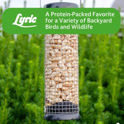Lyric Peanut Pieces Wild Bird Food, 5-lb bag slide 2 of 9