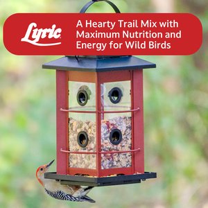 Lyric Fruit & Nut High Energy Mix Wild Bird Food, 20-lb bag