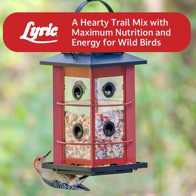 Show full view: Lyric Fruit & Nut High Energy Mix Wild Bird Food, 20-lb bag slide 9 of 11