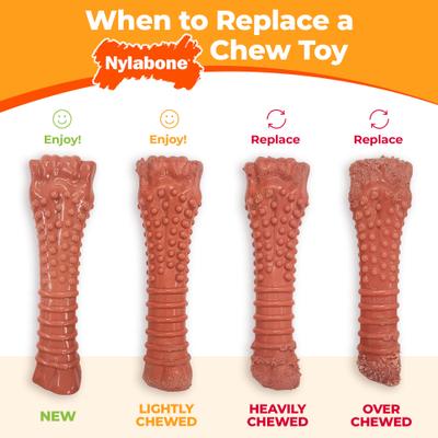 Show full view: Nylabone Power Chew Textured Dog Chew Ring Toy Flavor Medley, Small  slide 8 of 13