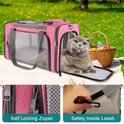 Gapzer Soft-Sided Airline Approved Bag Dog & Cat Carrier, 18.1 x 11.8 x 11.8-in, Pink slide 2 of 9