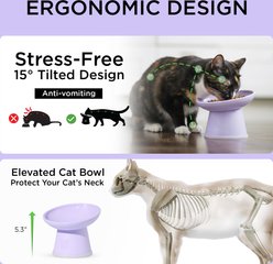Necoichi Tilted Elevated BPA-Free Plastic Dishwasher & Microwave Safe, Non-Slip & Anti Vomiting Cat Food Bowl, Lilac Ice, 2 count slide 2 of 9