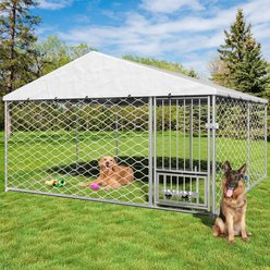 Yafylly Large Outdoor Dog Kennel, Silver, 10 x 10-ft