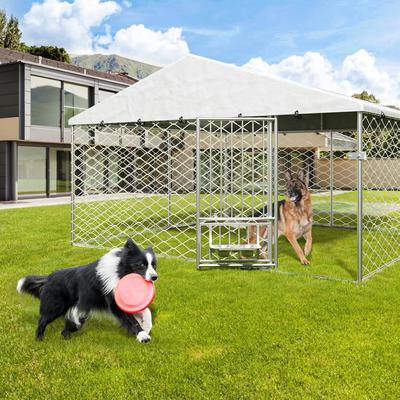 Show full view: Yafylly Large Outdoor Dog Kennel, Silver, 10 x 10-ft slide 7 of 7