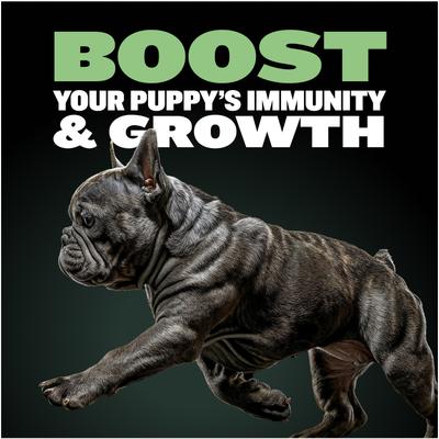 Show full view: Bully Max 24/14 High Protein & Growth Puppy Lamb Dry Dog Food, 15-lb bag slide 4 of 10