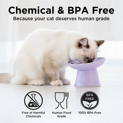 Show full view: Necoichi Tilted Elevated BPA-Free Plastic Dishwasher & Microwave Safe, Non-Slip & Anti Vomiting Cat Food Bowl, Lilac Ice, 2 count slide 7 of 9