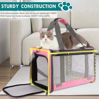 Show full view: Gapzer Soft-Sided Airline Approved Bag Dog & Cat Carrier, 18.1 x 11.8 x 11.8-in, Pink slide 5 of 9