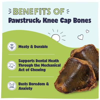 Show full view: Pawstruck Natural Knee Cap Beef Dog Bones, 10 count slide 3 of 9