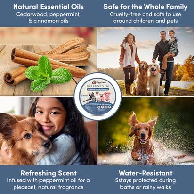 Show full view: Doggy's Dinner All Natural Flea & Tick Collar for Dogs slide 5 of 6