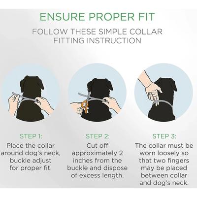 Show full view: Doggy's Dinner All Natural Flea & Tick Collar for Dogs slide 6 of 6