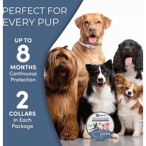 Doggy's Dinner All Natural Flea & Tick Collar for Dogs