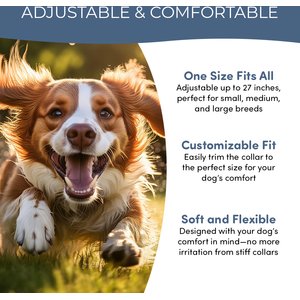 Doggy's Dinner All Natural Flea & Tick Collar for Dogs