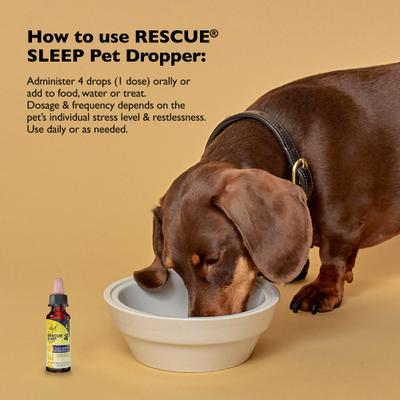 Show full view: Rescue Remedy Pet Sleep Dropper Liquid Calming Supplement for Dogs & Cats, 10-ml bottle slide 4 of 10