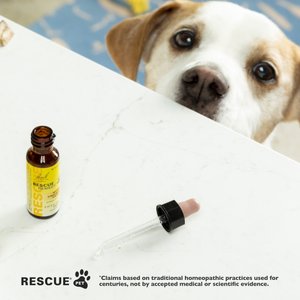 Rescue Remedy Stress Relief Pet Supplement, 20-mL bottle