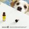 Show in main carousel: Rescue Remedy Stress Relief Pet Supplement, 10-mL bottle slide 6 of 10