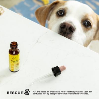 Show full view: Rescue Remedy Stress Relief Pet Supplement, 10-mL bottle slide 6 of 10