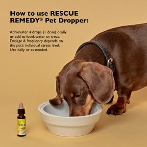 RESCUE Stress Relief Pet Supplement, 10-mL bottle