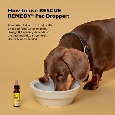 Show full view: Rescue Remedy Stress Relief Pet Supplement, 10-mL bottle slide 4 of 10