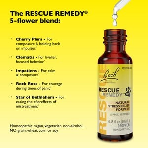 RESCUE Stress Relief Pet Supplement, 10-mL bottle