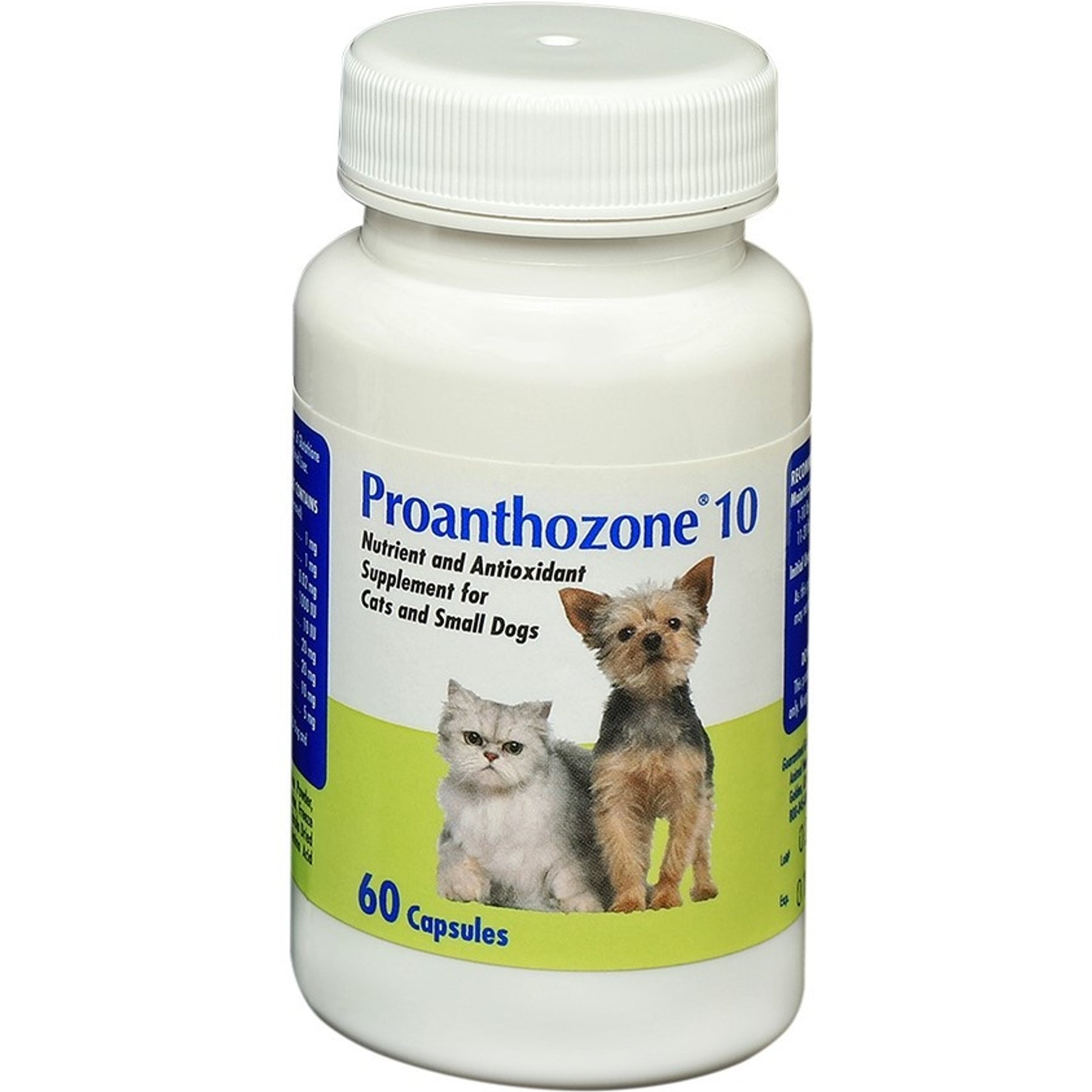 Proanthozone Antioxidant 10 mg Capsule Supplement for Small Dogs & Cats, 60 count