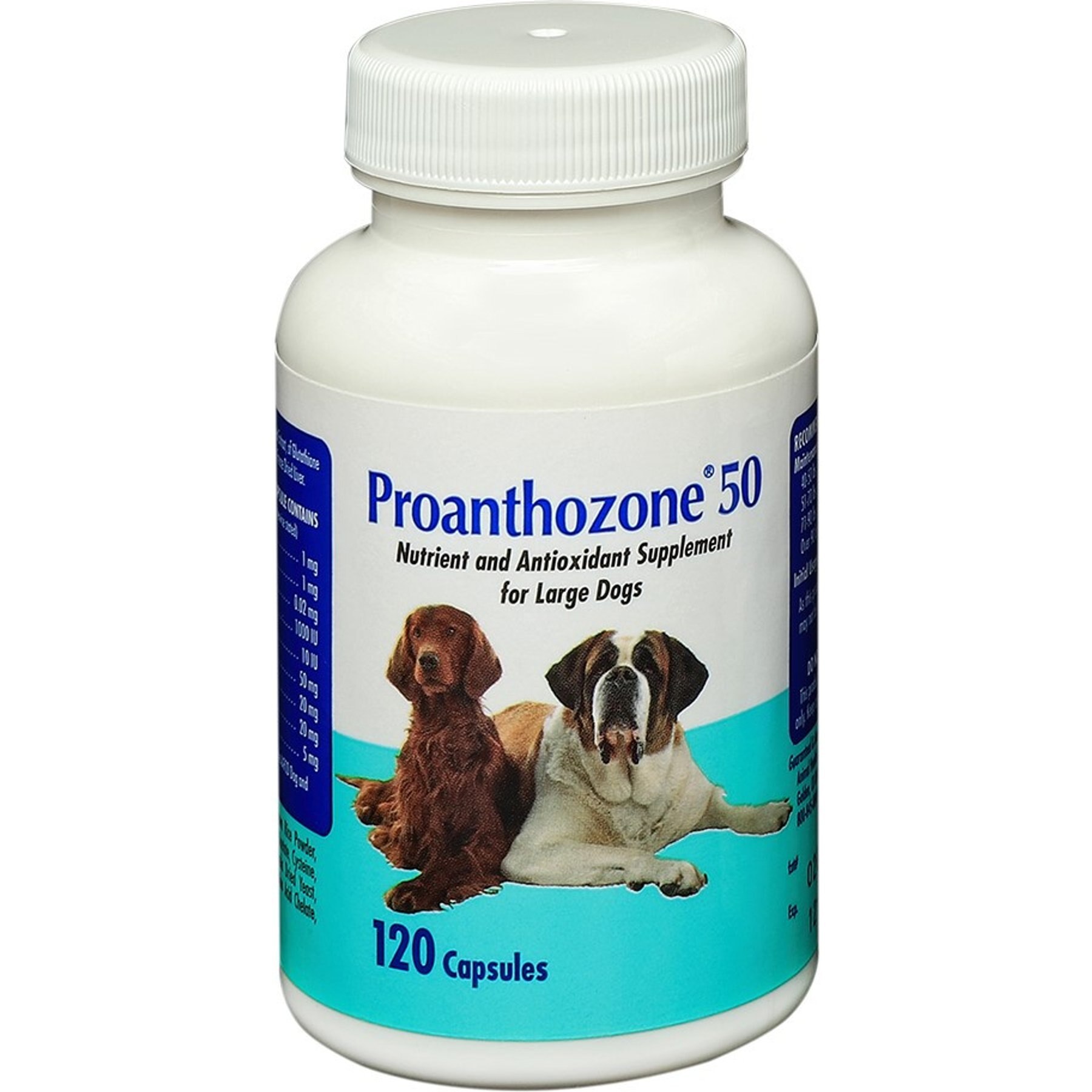 Proanthozone Antioxidant 50 mg Capsule Supplement for Large Dogs, 120 count