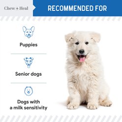 Chew + Heal High Protein Goat Milk Powder Digestive Aid Supplement for Dogs, 6-oz jar slide 2 of 8
