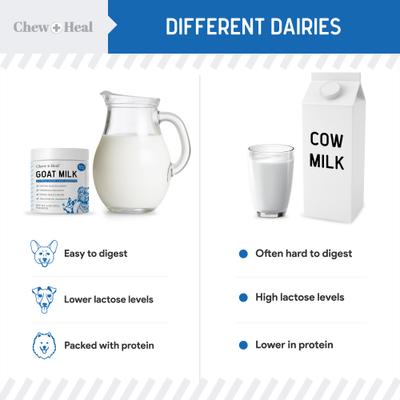 Show full view: Chew + Heal High Protein Goat Milk Powder Digestive Aid Supplement for Dogs, 6-oz jar slide 6 of 9