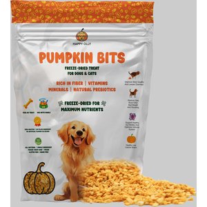 Happy Olly Freeze-Dried Pumpkin Treats Grain-Free Prebiotics & Fiber Freeze-Dried Dog & Cat Treats, 2-oz bag