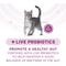 Show in main carousel: Purina ONE Whole Body Support Chicken Dry Cat Food, 22-lb bag slide 6 of 9