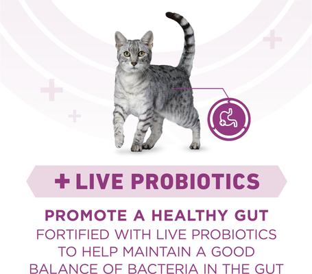 Show full view: Purina ONE Whole Body Support Chicken Dry Cat Food, 22-lb bag slide 6 of 9