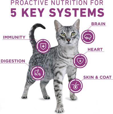 Show full view: Purina ONE Whole Body Support Chicken Dry Cat Food, 22-lb bag slide 5 of 9