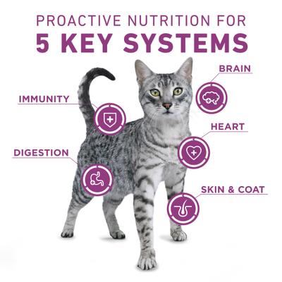 Show full view: Purina ONE Whole Body Support Chicken Dry Cat Food, 3.5-lb bag slide 5 of 9