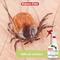 Show in main carousel: Nature-Cide Flea & Tick Spray for Dogs & Cats, 3.2-fl oz bottle slide 3 of 5