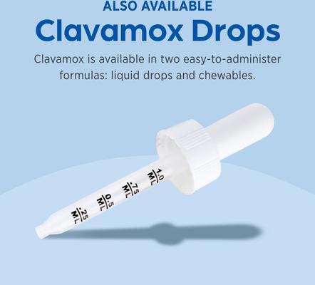 Show full view: Clavamox (Amoxicillin / Clavulanate Potassium) Chewable Tablets for Dogs & Cats, 375-mg, 1 tablet slide 8 of 10