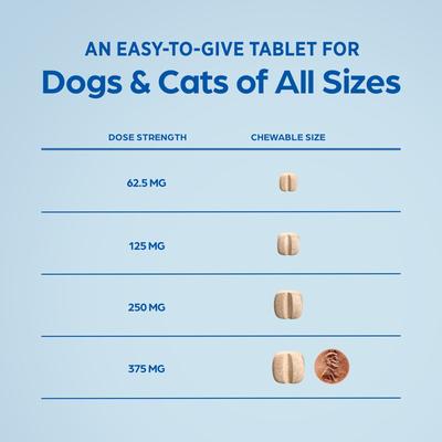 Show full view: Clavamox (Amoxicillin / Clavulanate Potassium) Chewable Tablets for Dogs & Cats, 375-mg, 1 tablet slide 7 of 10