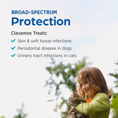 Show full view: Clavamox (Amoxicillin / Clavulanate Potassium) Chewable Tablets for Dogs & Cats, 375-mg, 1 tablet slide 6 of 10