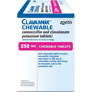 Clavamox (Amoxicillin / Clavulanate Potassium) Chewable Tablets for Dogs & Cats, 250-mg, 1 tablet