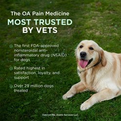 Rimadyl (carprofen) Chewable Tablets for Dogs, 100-mg, 1 tablet slide 2 of 9