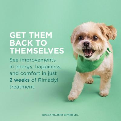 Show full view: Rimadyl (carprofen) Chewable Tablets for Dogs, 100-mg, 1 tablet slide 4 of 11