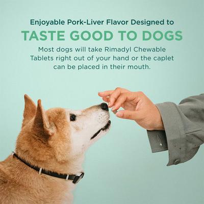 Show full view: Rimadyl (carprofen) Chewable Tablets for Dogs, 100-mg, 1 tablet slide 5 of 11